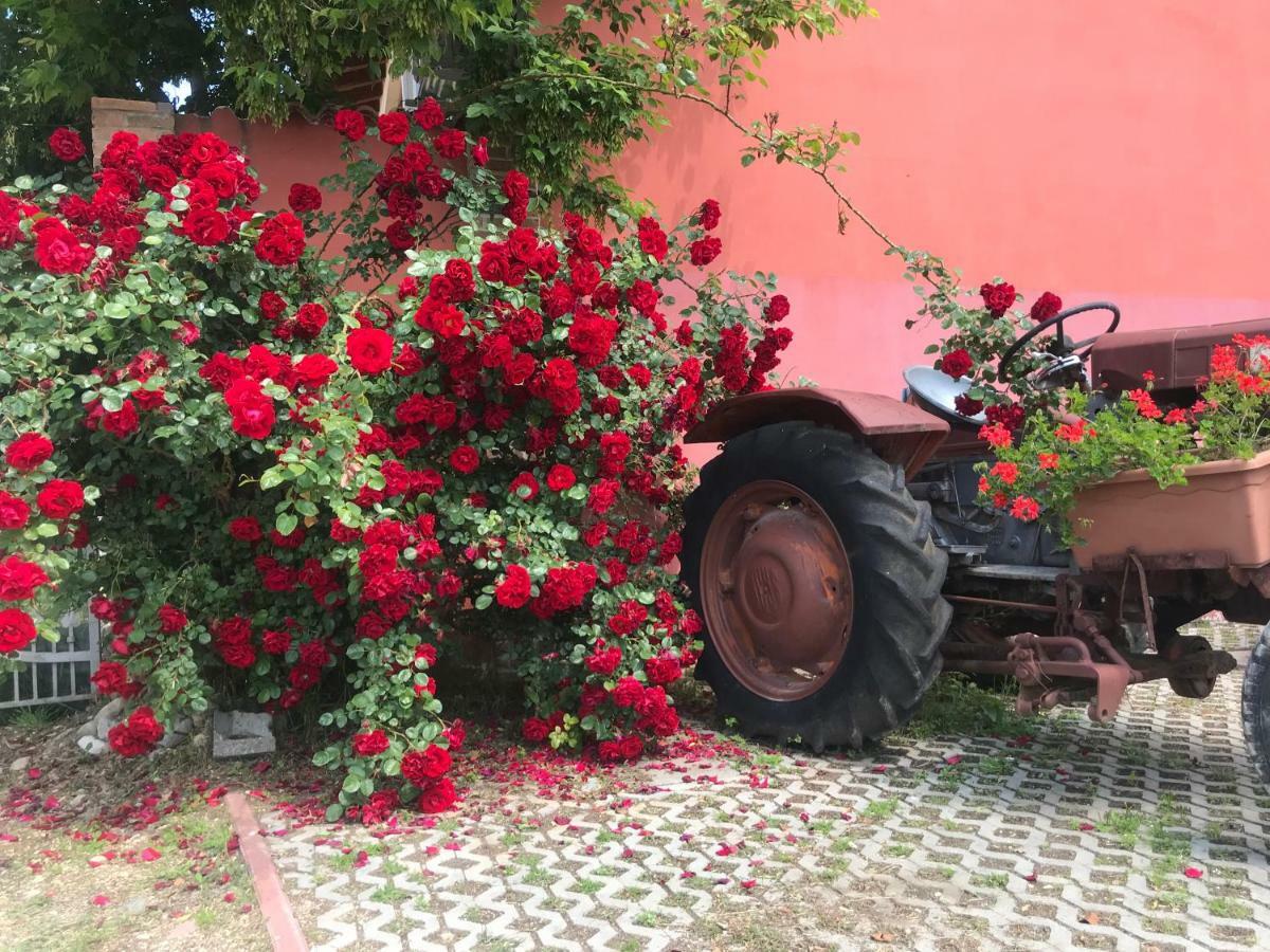 Вилла Agriturismo Mulino Bianco Лонато Экстерьер фото